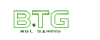 Big Time Gaming Provider Logo